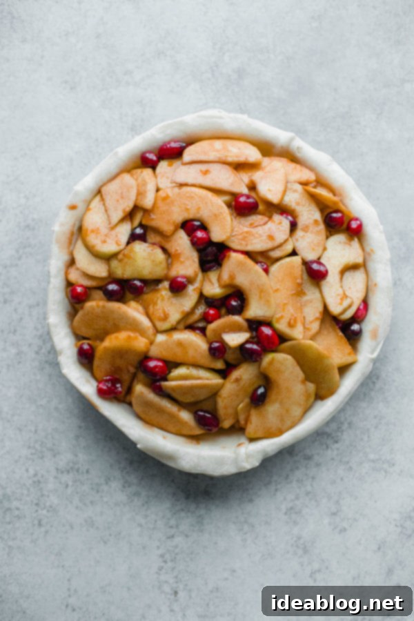 Autumn's Apple Cranberry Delight 9 Freshly baked Apple Cranberry Pie cooling on a rack