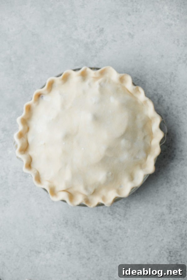 Autumn's Apple Cranberry Delight 10 A slice of Apple Cranberry Pie revealing its juicy, rich filling