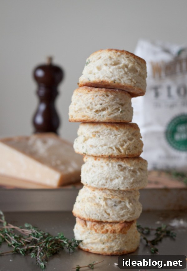 Irresistible Parmesan Thyme Buttermilk Biscuits 2 Fluffy Parmesan Thyme Buttermilk Biscuits