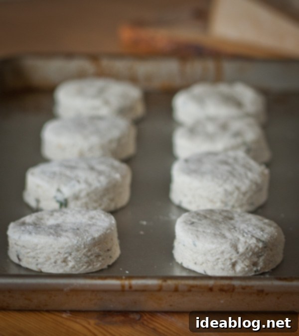 Irresistible Parmesan Thyme Buttermilk Biscuits 7 Parmesan Thyme Buttermilk Biscuits on Baking Sheet
