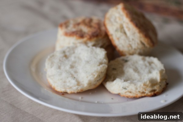 Irresistible Parmesan Thyme Buttermilk Biscuits 8 Halved Parmesan Thyme Buttermilk Biscuits
