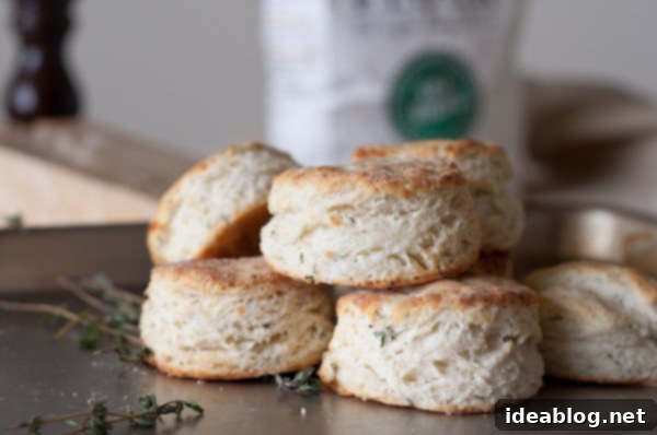 Irresistible Parmesan Thyme Buttermilk Biscuits 10 Close up of Parmesan Thyme Buttermilk Biscuits