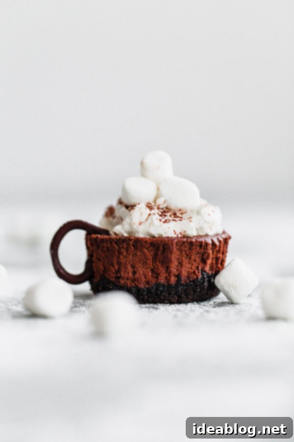 Delicious Hot Cocoa Cheesecake Minis with Whipped Cream and Marshmallows