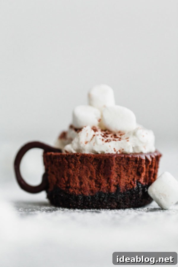 A tray of Hot Cocoa Cheesecake Minis, ready to serve for the holidays