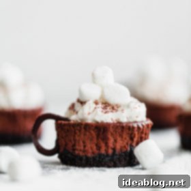 Cozy Cocoa Cheesecake Bites 4 Mini Hot Chocolate Cheesecakes
