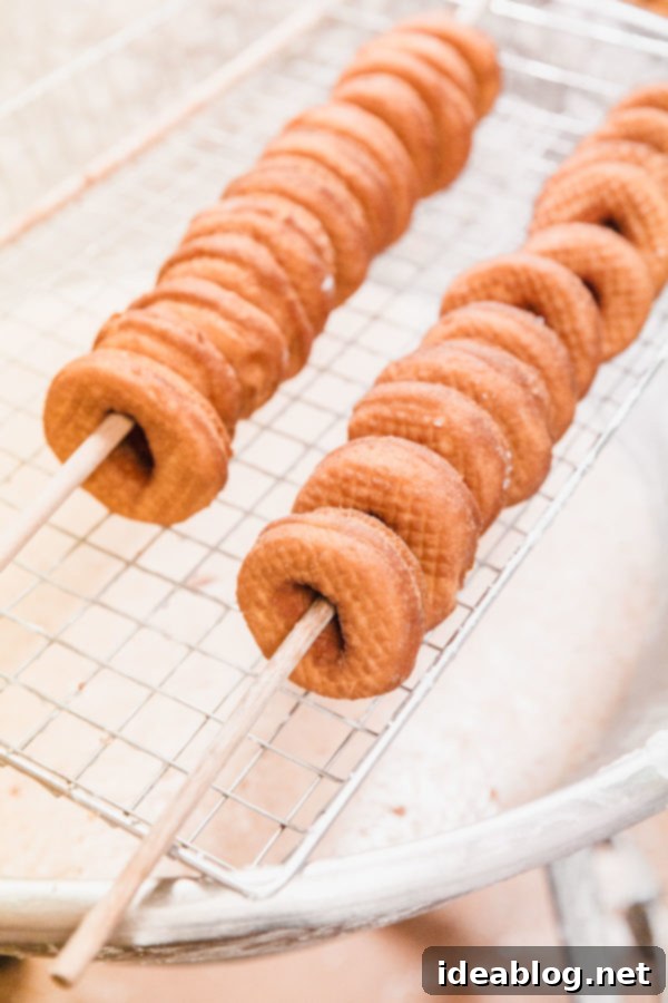 Columbus Food Scene Your Definitive Dining Guide 17 Buckeye Donuts Columbus Ohio