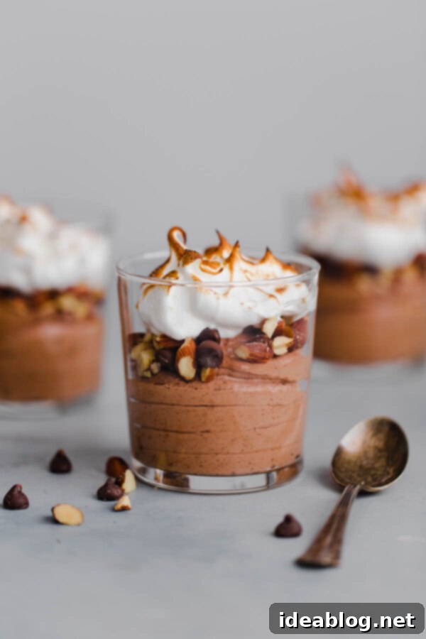 Easy 2-Ingredient Chocolate Mousse S'mores Parfait Decadent S'mores-Inspired Chocolate Mousse Parfait layered with chocolate mousse, roasted almonds, and toasted meringue, served in a clear cup.