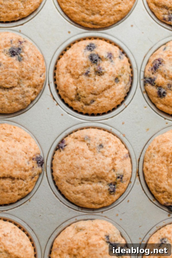 EASY Blueberry Muffins - this delicious whole wheat blueberry muffins recipe that comes together quickly and is made with coconut oil, buttermilk, and wild frozen blueberries. #blueberries #buttermilk #wholewheat #muffins #abeautifulplate #coconutoil #berries Easy Whole Wheat Blueberry Muffins baking in a pan