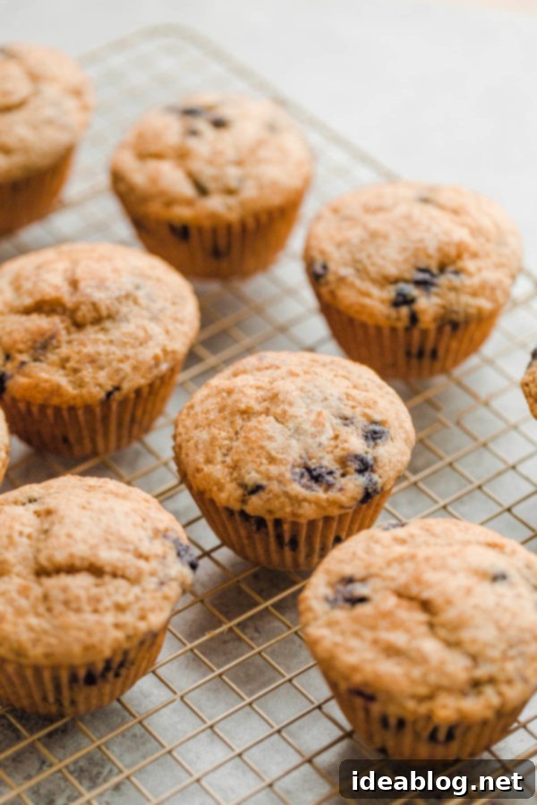 EASY Blueberry Muffins - this delicious whole wheat blueberry muffins recipe that comes together quickly and is made with coconut oil, buttermilk, and wild frozen blueberries. #blueberries #buttermilk #wholewheat #muffins #abeautifulplate #coconutoil #berries Whole Wheat Blueberry Muffins cooling on a wire rack