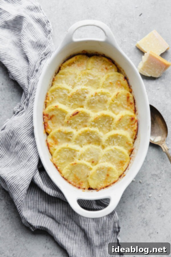 Gnocchi Alla Romana - Baked Semolina Gnocchi made with semolina flour, parmesan cheese, milk, and butter. A delicious and traditional Italian side dish! #Italian #semolina #gnocchi #cheese #abeautifulplate  Gnocchi Alla Romana