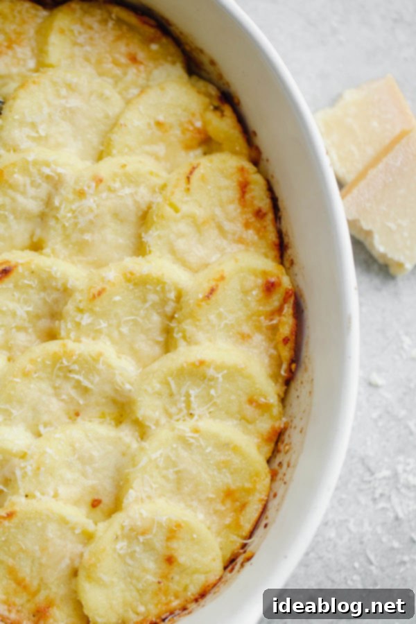 Gnocchi Alla Romana - Baked Semolina Gnocchi made with semolina flour, parmesan cheese, milk, and butter. A delicious and traditional Italian side dish! #Italian #semolina #gnocchi #cheese #abeautifulplate  Italian Gnocchi Alla Romana