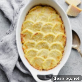 Roman Semolina Gnocchi 6 Gnocchi Alla Romana