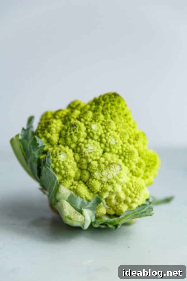 Romanesco Cauliflower Pasta with Olives, Capers, and Parsley. A simple vegetarian pasta recipe that can be made in less than 45 minutes. #pasta #recipe #romanesco #cauliflower #olive #caper #abeautifulplate Close-up of fresh Romanesco Cauliflower, highlighting its intricate fractal pattern and vibrant lime green color.