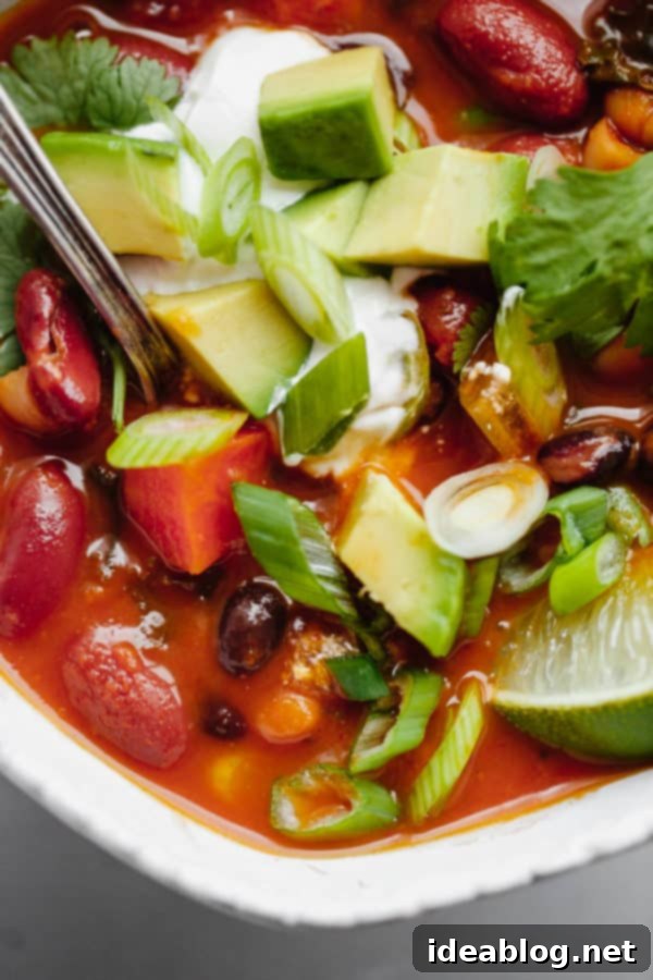 Close Up of Vegetarian Chili