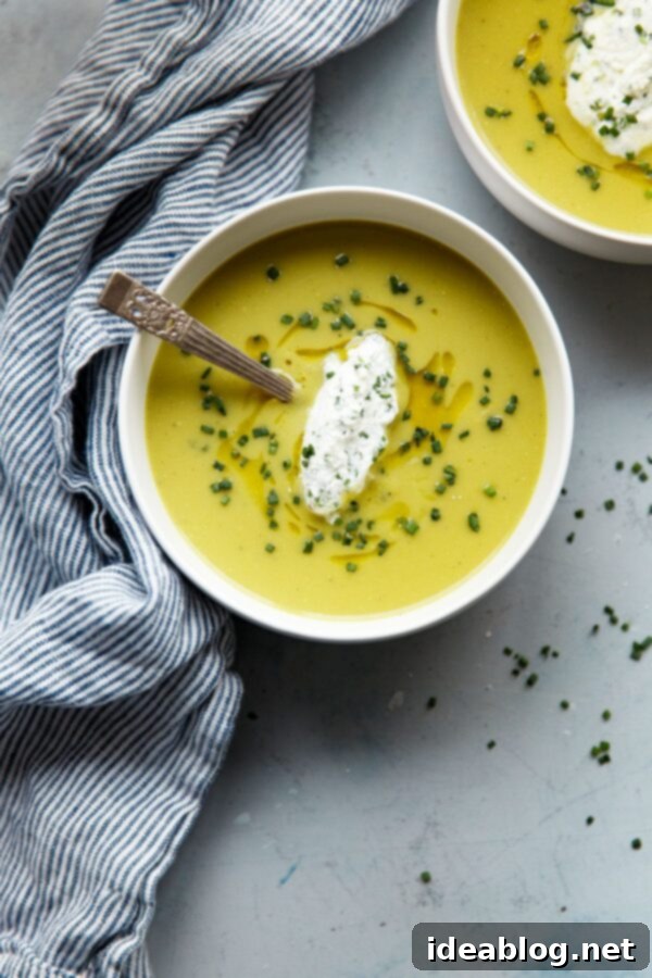 Asparagus Potato Soup - a simple pureed soup recipe to ring in the spring season! This silky smooth pureed soup has a base of fresh asparagus, Yukon gold potatoes, sweet leeks and onions, and is topped with a decadent homemade chive cream. #soup #asparagus #potato #leek #spring #recipe #abeautifulplate Creamy Asparagus Potato Soup with Elegant Chive Cream Garnish