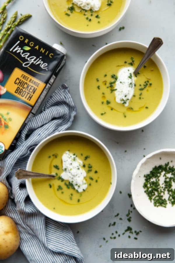 Asparagus Potato Soup - a simple pureed soup recipe to ring in the spring season! This silky smooth pureed soup has a base of fresh asparagus, Yukon gold potatoes, sweet leeks and onions, and is topped with a decadent homemade chive cream. #soup #asparagus #potato #leek #spring #recipe #abeautifulplate Asparagus Potato Soup Garnished with Fresh Chives