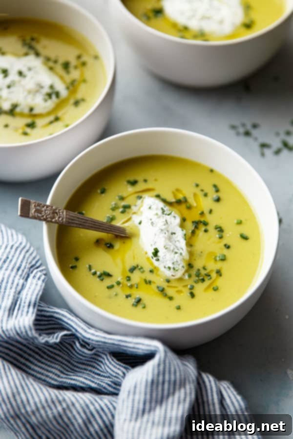 Asparagus Potato Soup - a simple pureed soup recipe to ring in the spring season! This silky smooth pureed soup has a base of fresh asparagus, Yukon gold potatoes, sweet leeks and onions, and is topped with a decadent homemade chive cream. #soup #asparagus #potato #leek #spring #recipe #abeautifulplate Asparagus Potato Soup with Melting Chive Cream Swirl