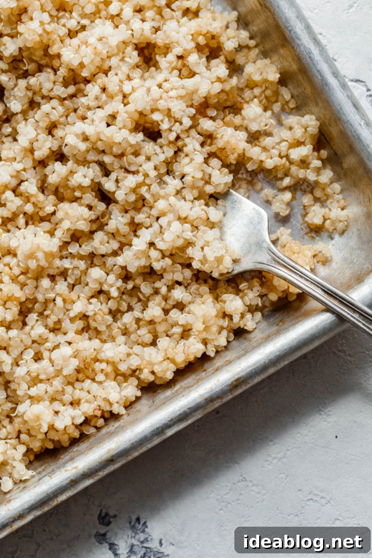 Fiesta Quinoa Power Bowl 2 Cooked Quinoa grains, fluffy and light