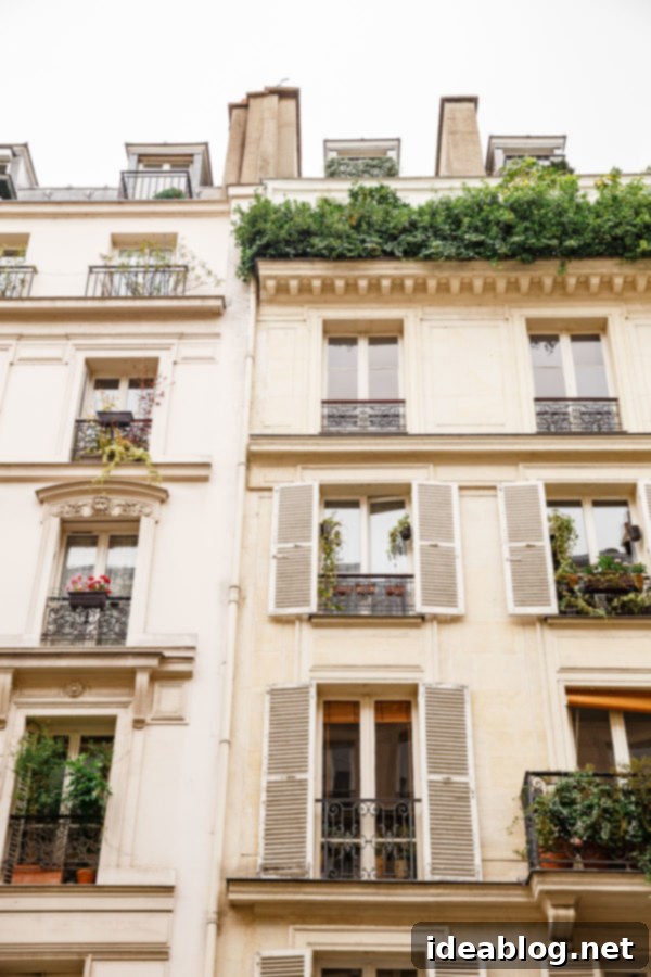 The Taste of Paris: Your Dining Companion 3 Charming Parisian street view with classic architecture.