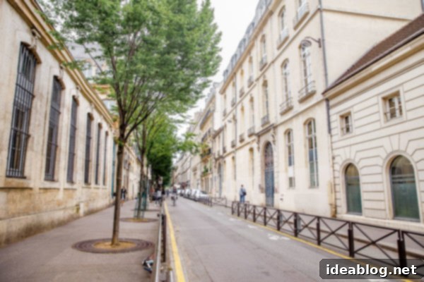 The Taste of Paris: Your Dining Companion 22 A serene view of the Seine River with Parisian architecture.