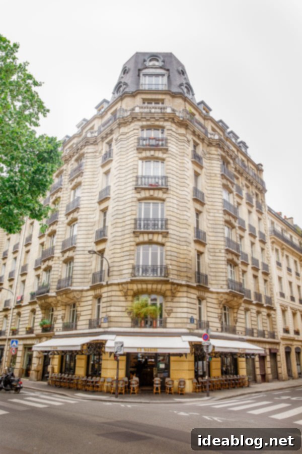 The Taste of Paris: Your Dining Companion 32 A picturesque view of a tree-lined street in Paris.