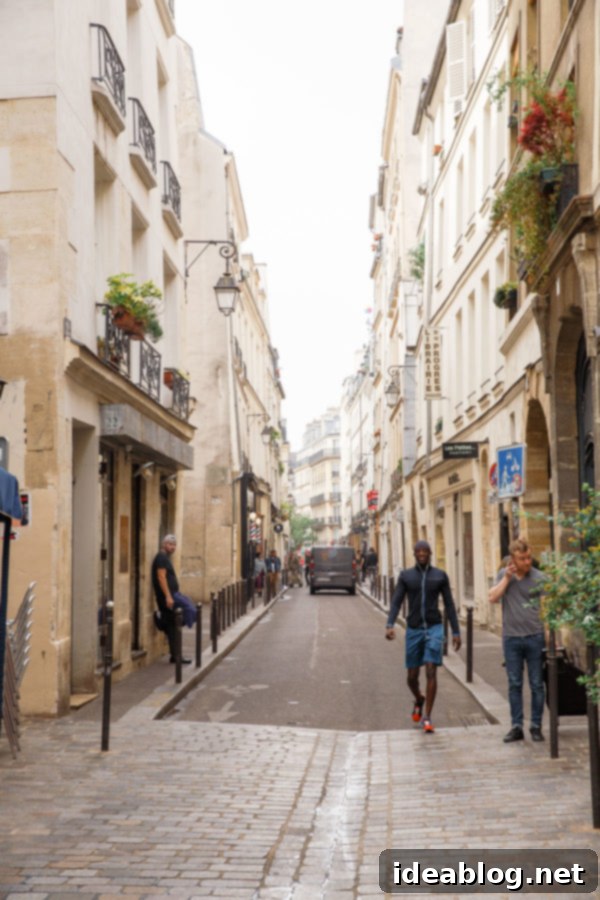 The Taste of Paris: Your Dining Companion 33 A charming building facade in the historic Le Marais District of Paris.