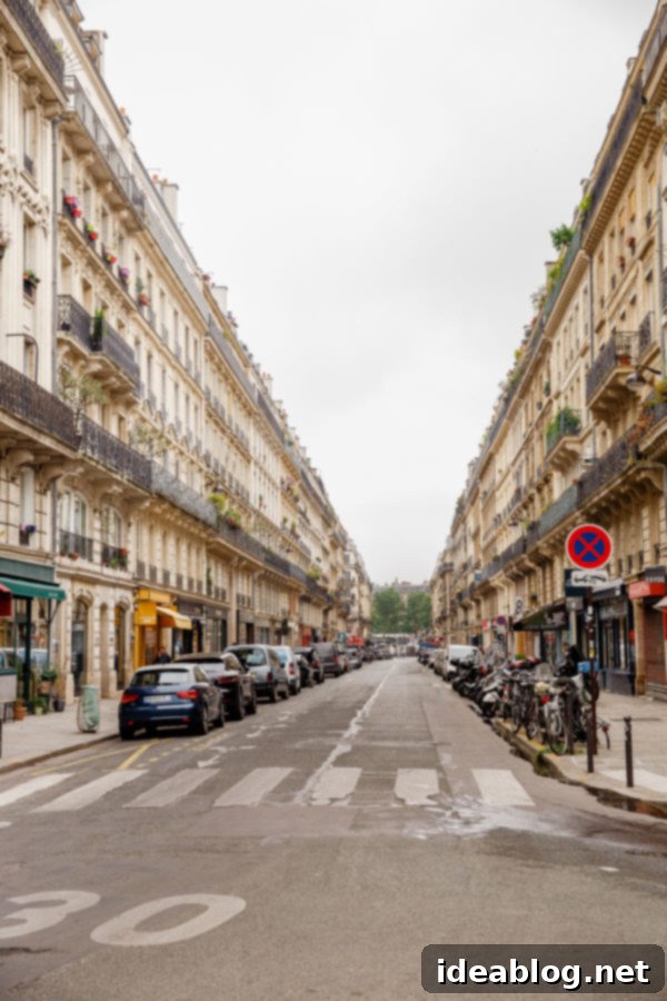 The Taste of Paris: Your Dining Companion 40 A picturesque Parisian street with classical buildings and vibrant greenery.