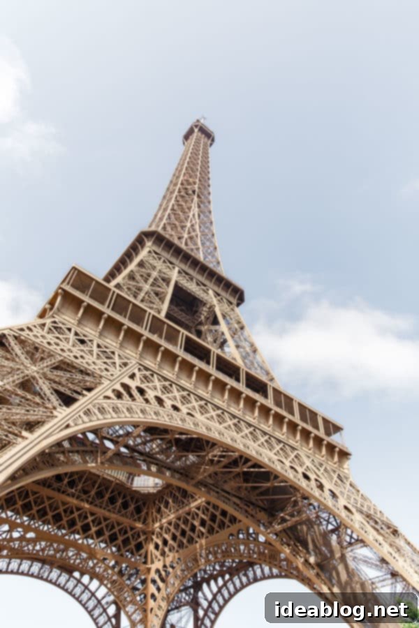 The Taste of Paris: Your Dining Companion 43 The iconic Eiffel Tower illuminated at night, a symbol of Paris.