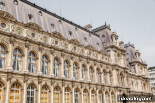 The Taste of Paris: Your Dining Companion 6 A scenic view of a Parisian building and sky.