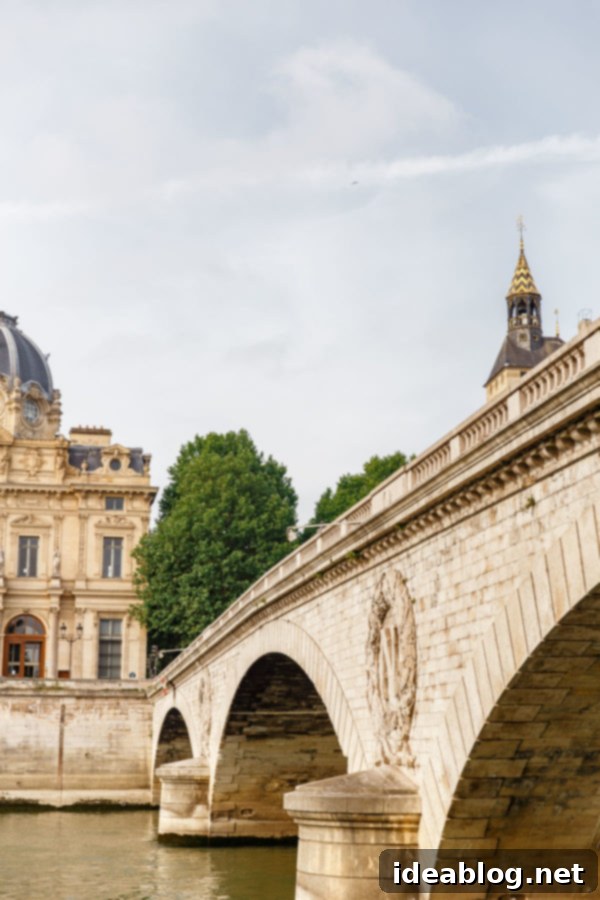 The Taste of Paris: Your Dining Companion 9 A beautiful old bridge spanning the Seine River in Paris.
