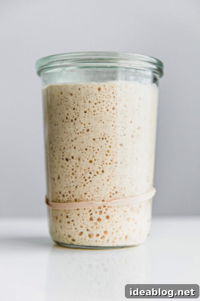 Bake Your Best Sourdough: Essential Tools and Guides 8 A kitchen setup featuring various sourdough baking essentials