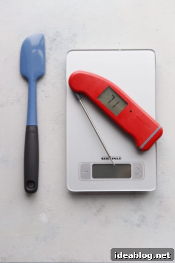 Bake Your Best Sourdough: Essential Tools and Guides 15 An instant thermometer, spatula, and whisk on a kitchen counter
