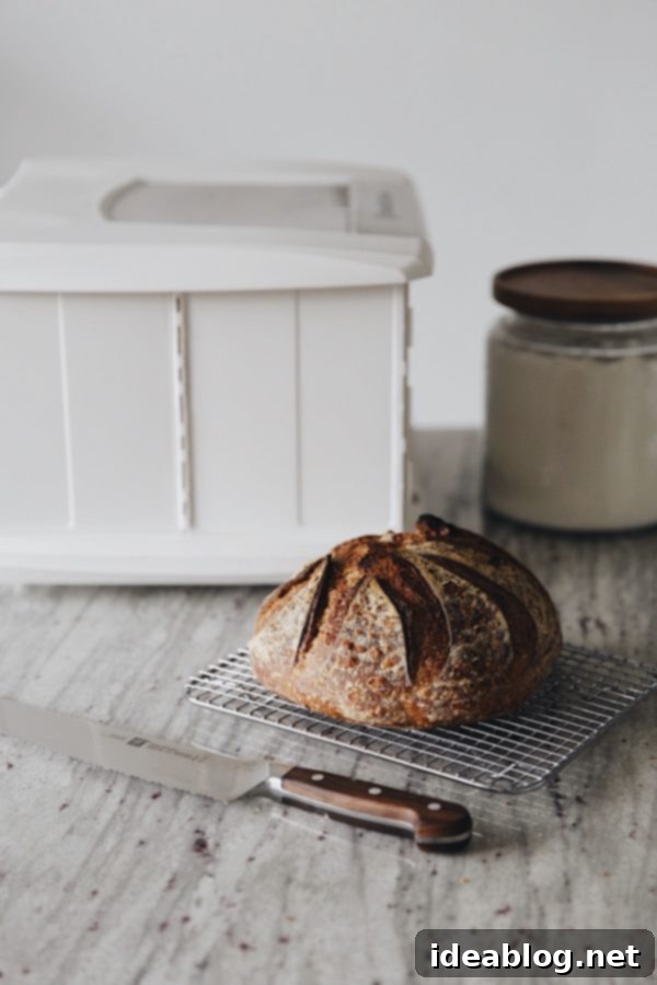 A Guide to Making Homemade Sourdough Bread at Home: Everything you need to make great sourdough bread at home - an extensive and detailed guide to my favorite sourdought bread tools and resources. A Brod and Taylor Proofing Box, a professional tool for home bakers