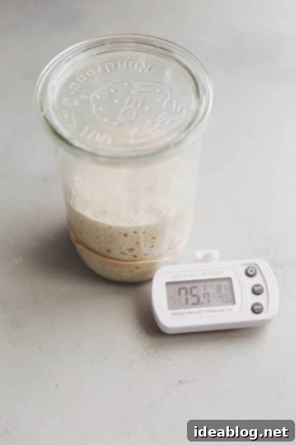 Bake Your Best Sourdough: Essential Tools and Guides 16 Sourdough starter jar next to an ambient thermometer, highlighting temperature control