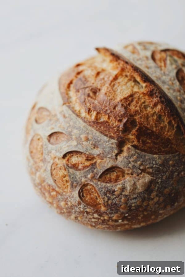 Your Guide to Making Homemade Sourdough Bread at Home: Everything you need to make great sourdough bread – an extensive and detailed guide to my favorite sourdough bread tools and resources. Freshly baked sourdough loaf with a beautiful golden crust