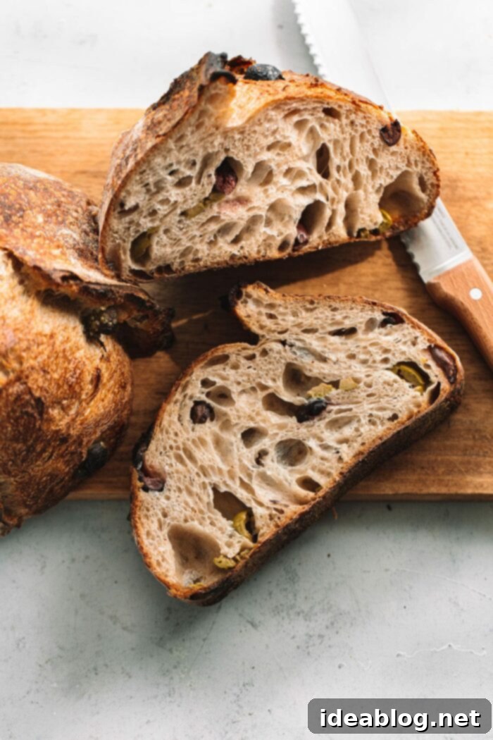 Bake Your Best Sourdough: Essential Tools and Guides 17 Artisan olive sourdough bread, sliced open with a beautiful crumb