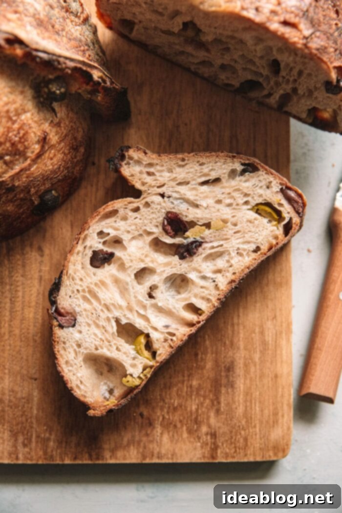Bake Your Best Sourdough: Essential Tools and Guides 2 Delicious olive sourdough bread, sliced to reveal a perfect open crumb