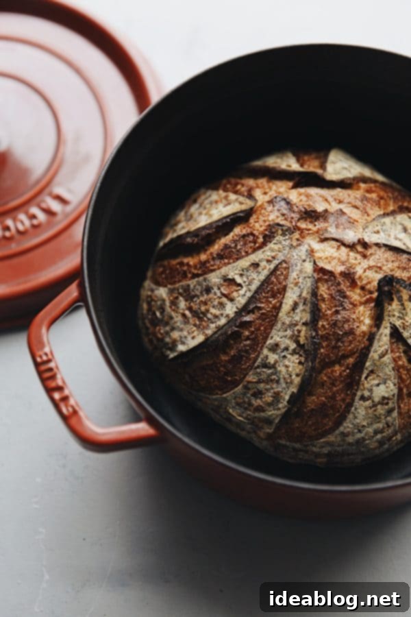 Bake Your Best Sourdough: Essential Tools and Guides 7 Homemade Sourdough Bread baking beautifully in a Dutch Oven