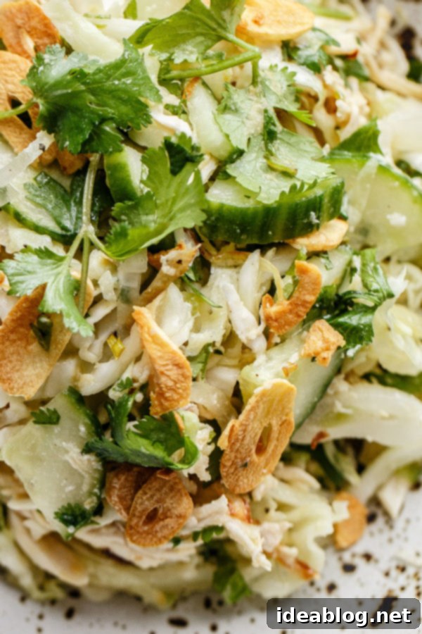 Burmese Chicken Salad - this INCREDIBLE Burmese chicken salad, adapted from the Burma Superstar cookbook, gets its bulk, heft, and incredible texture from shredded green cabbage, sliced cucumber, shredded rotisserie chicken, crispy onions, raw onions, jalapeño, toasted chickpea flour, cilantro, and garlic chips. Fish sauce and lime juice impart complexity into each bite. #glutenfree #abeautifulplate #burmese #salad #maincourse #recipe Burma Superstar Chicken Salad - a close-up shot of the fresh and vibrant Burmese Chicken Salad, showcasing its beautiful textures and colors, ready to be enjoyed.