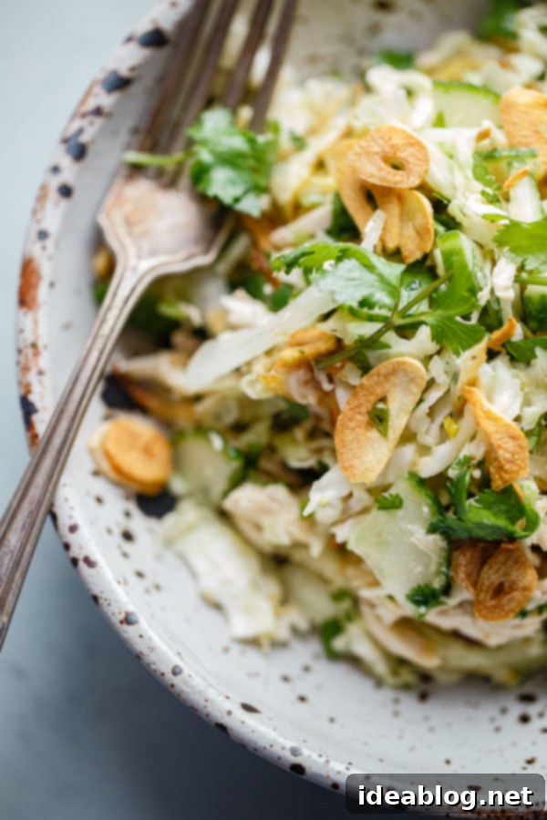 Burmese Chicken Salad - this INCREDIBLE Burmese chicken salad, adapted from the Burma Superstar cookbook, gets its bulk, heft, and incredible texture from shredded green cabbage, sliced cucumber, shredded rotisserie chicken, crispy onions, raw onions, jalapeño, toasted chickpea flour, cilantro, and garlic chips. Fish sauce and lime juice impart complexity into each bite. #glutenfree #abeautifulplate #burmese #salad #maincourse #recipe Burmese Chicken Salad - a vibrant and textural close-up of the finished Burmese Chicken Salad, showcasing its rich components and irresistible appeal.