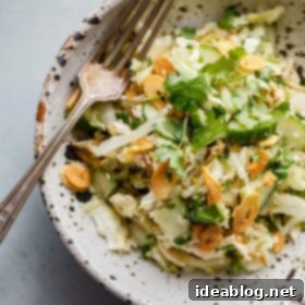 Zesty Burmese Chicken Salad 4 Burmese Chicken Salad