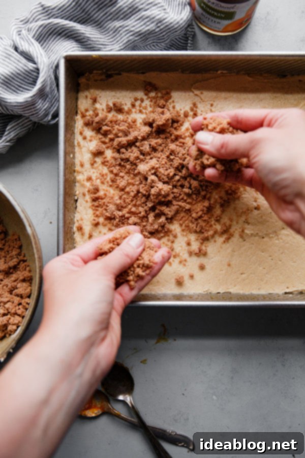 Harvest Spice Coffee Cake with Creamy Pumpkin Swirl 11 The spiced coffee cake with pumpkin butter and streusel topping, captured before baking, showing its beautiful layers.