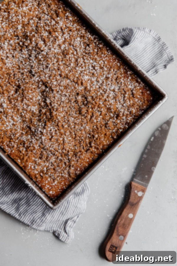 Harvest Spice Coffee Cake with Creamy Pumpkin Swirl 5 The Spiced Coffee Cake with Pumpkin Butter in a baking pan, freshly baked with a golden crumb topping.