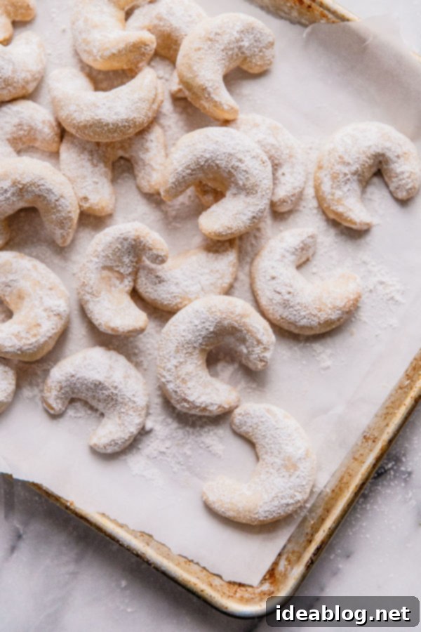 Almond Crescent Cookies - these traditional Almond Crescent Cookies (or Austrian kipferl cookies) are my go-to easy Christmas cookies. Buttery, crisp, and impossible to resist! #abeautifuplate #almondflour #kipferl #almondcrescentcookies #recipe #dessert #Christmas #holiday #baking A freshly baked almond crescent cookie being rolled in a bowl of powdered sugar and cinnamon.
