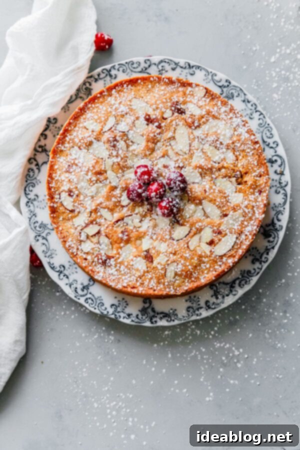 Cranberry Christmas Cake - this incredible one layer celebration almond cake is infused with fresh cranberries, almond, and orange. Perfect for the holidays! #cake #cranberry #christmas #abeautifulplate #recipe #dessert Cranberry Christmas Cake
