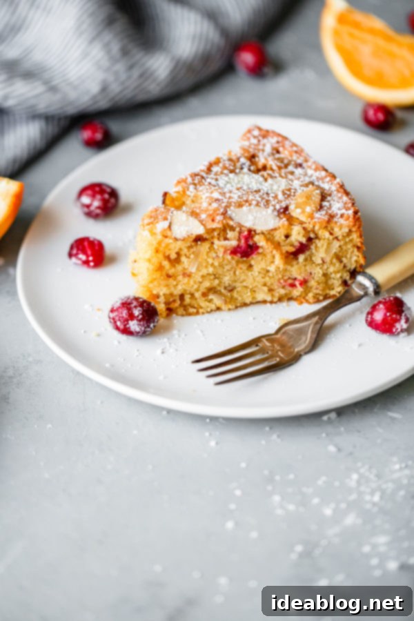 Cranberry Christmas Cake - this incredible one layer celebration almond cake is infused with fresh cranberries, almond, and orange. Perfect for the holidays! #cake #cranberry #christmas #abeautifulplate #recipe #dessert Cranberry Christmas Cake