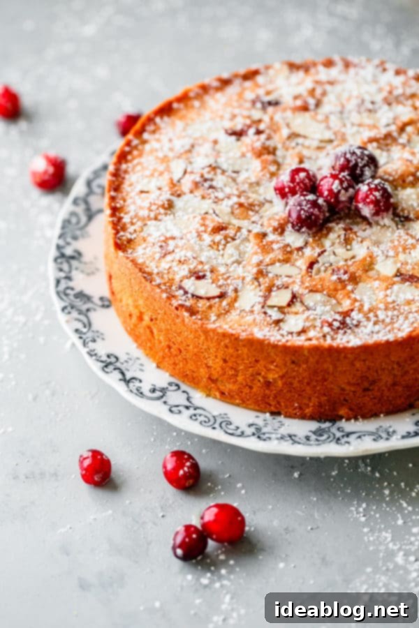 Cranberry Christmas Cake - this incredible one layer celebration almond cake is infused with fresh cranberries, almond, and orange. Perfect for the holidays! #cake #cranberry #christmas #abeautifulplate #recipe #dessert Cranberry Christmas Cake
