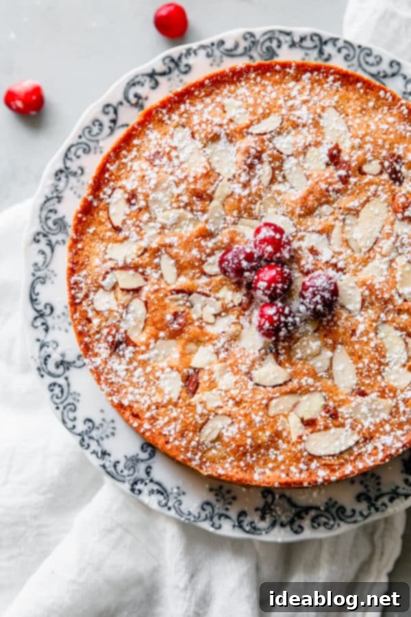 Cranberry Christmas Cake - this incredible one layer celebration almond cake is infused with fresh cranberries, almond, and orange. Perfect for the holidays! #cake #cranberry #christmas #abeautifulplate #recipe #dessert Cranberry Christmas Cake