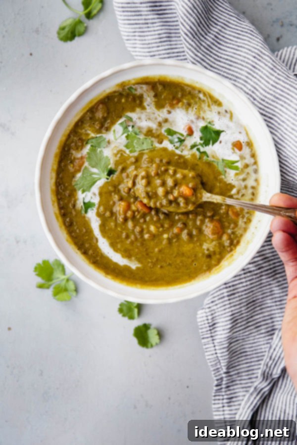 10 Healthy Make Ahead Meals - these hearty, wholesome meals that can be prepped almost entirely ahead or made even easier with a few basic tips.  Slow Cooker Curried Lentil Soup