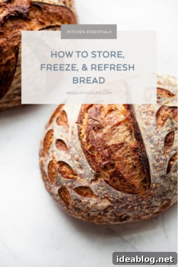 How to Store, Freeze, and Refresh Bread - an easy guide on how to store bread at home, freeze it and refresh it so that it tastes like it's just been baked out of the oven! #abeautifulplate #bread #sourdough #cooking #baking #howto Perfectly stored homemade bread ready for enjoyment